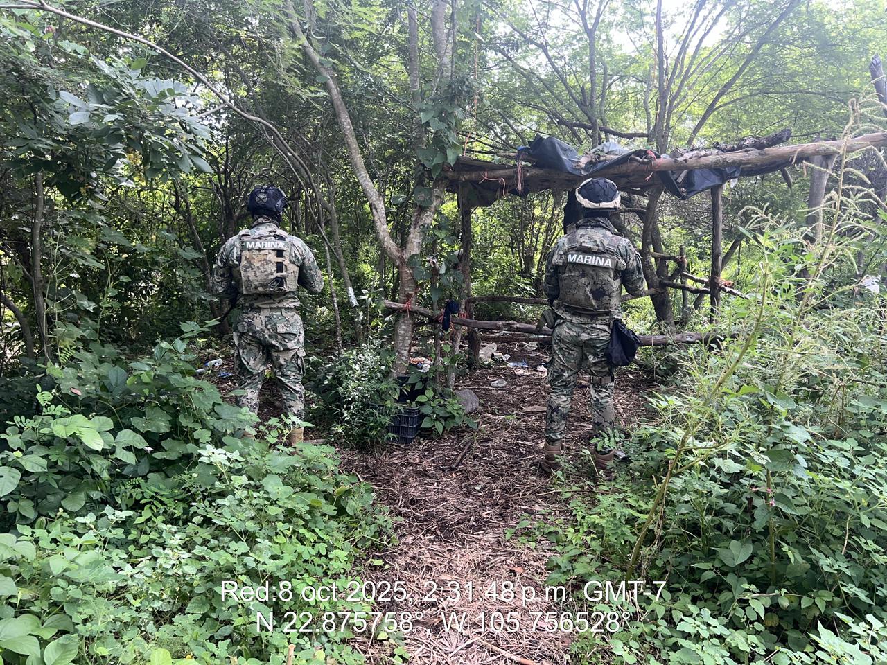 Localizan campamento y artefacto explosivo en poblado de Escuinapa