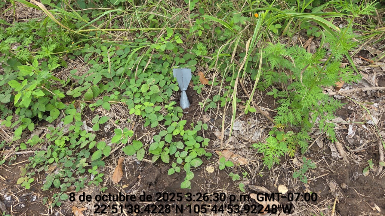 Localizan campamento y artefacto explosivo en poblado de Escuinapa