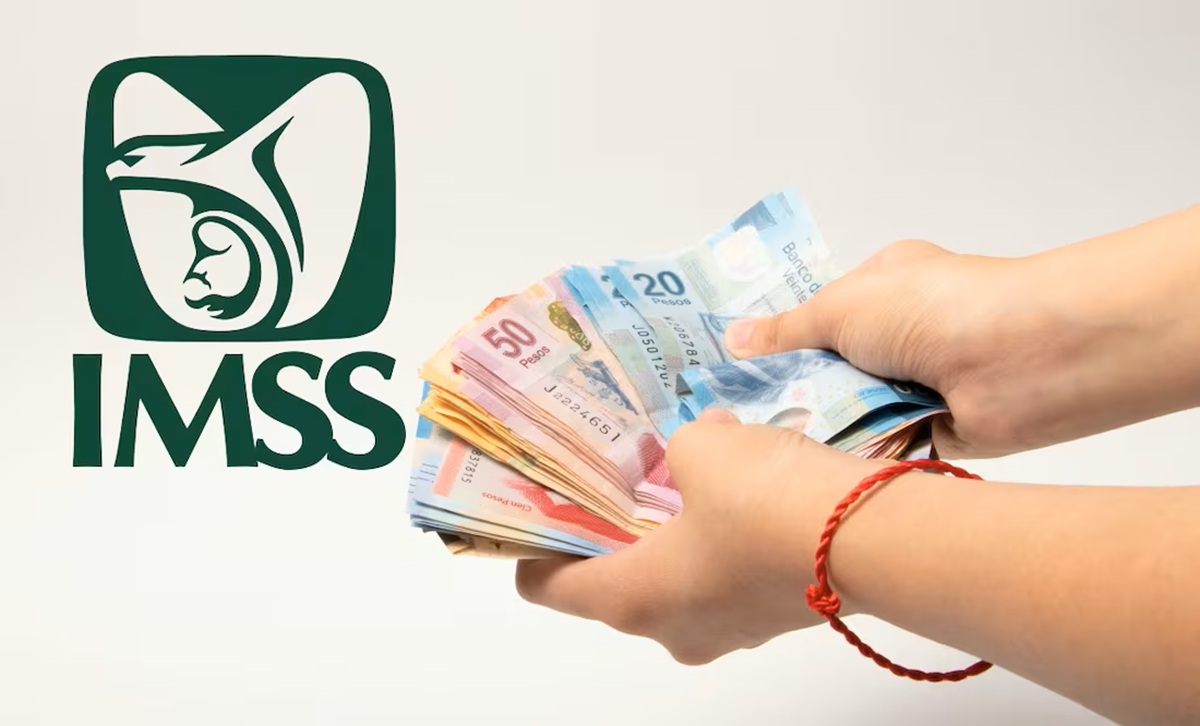 Aguinaldo de la pensión del IMSS (Logotipo del IMSS y dinero)
