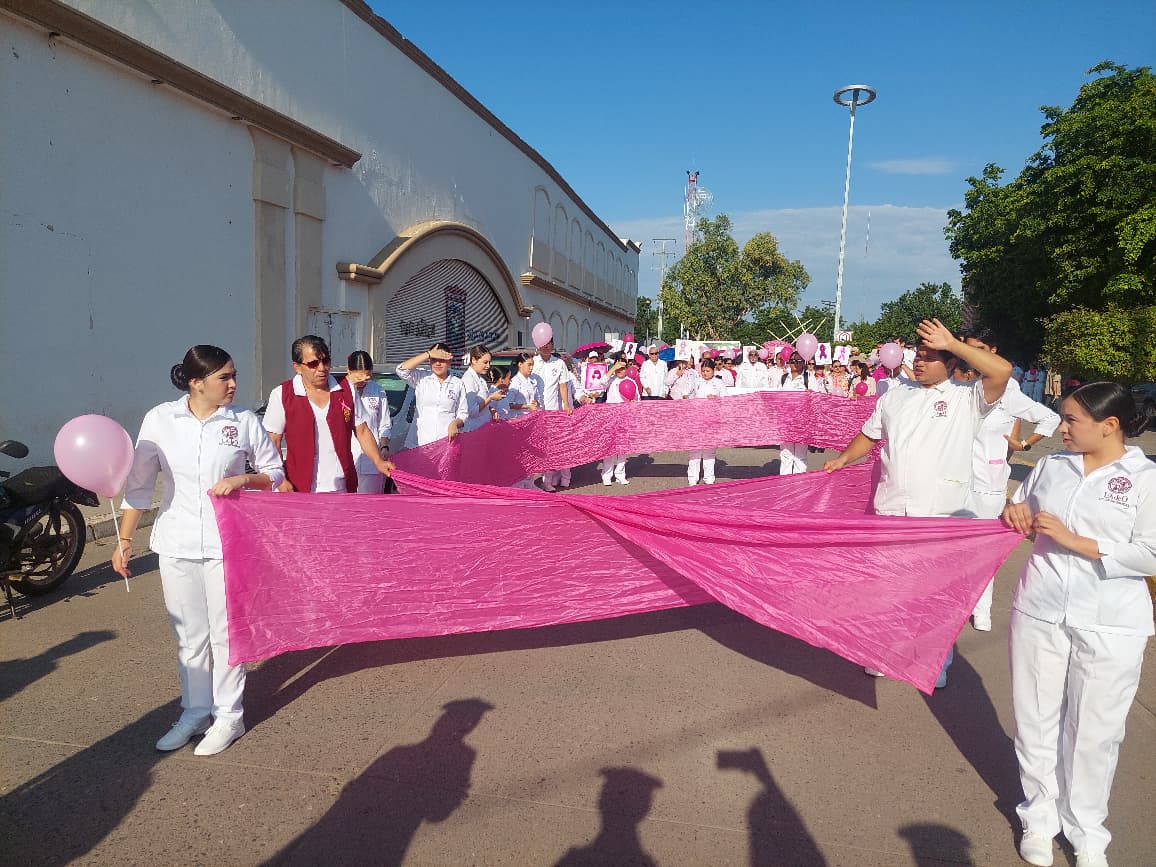 marcha rosa en Salvador Alvarado