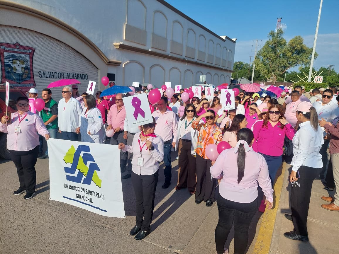 marcha rosa en Salvador Alvarado