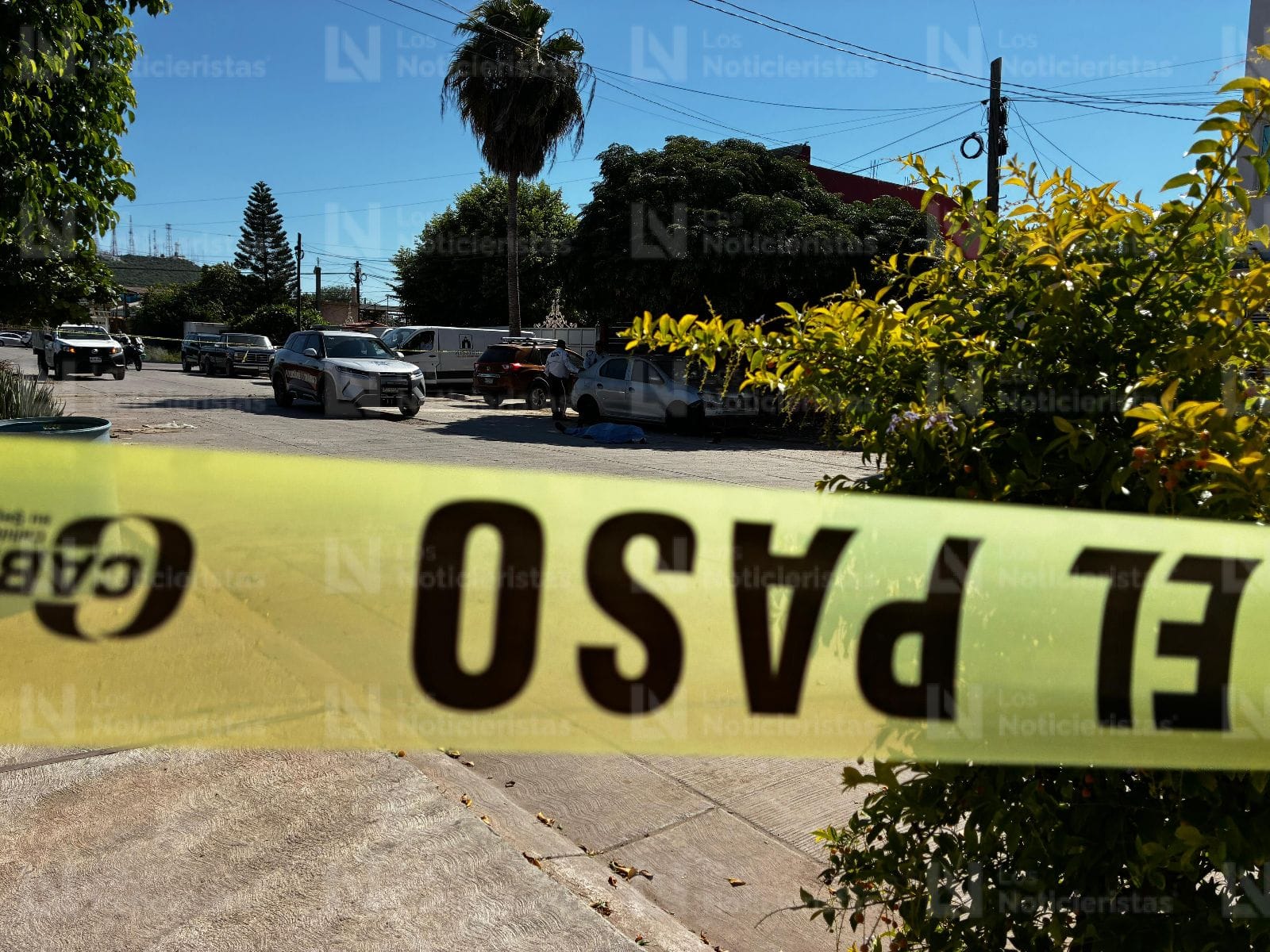 muere varon arrollado en los mochis