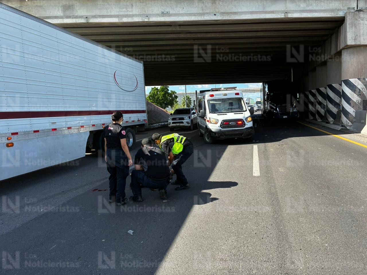 paramédicos dan servicios médicos prehospitalarios