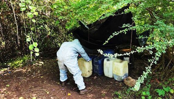 Con afectación de $4 mdp a la delincuencia, inhabilitan áreas para elaborar drogas en Culiacán, Sinaloa