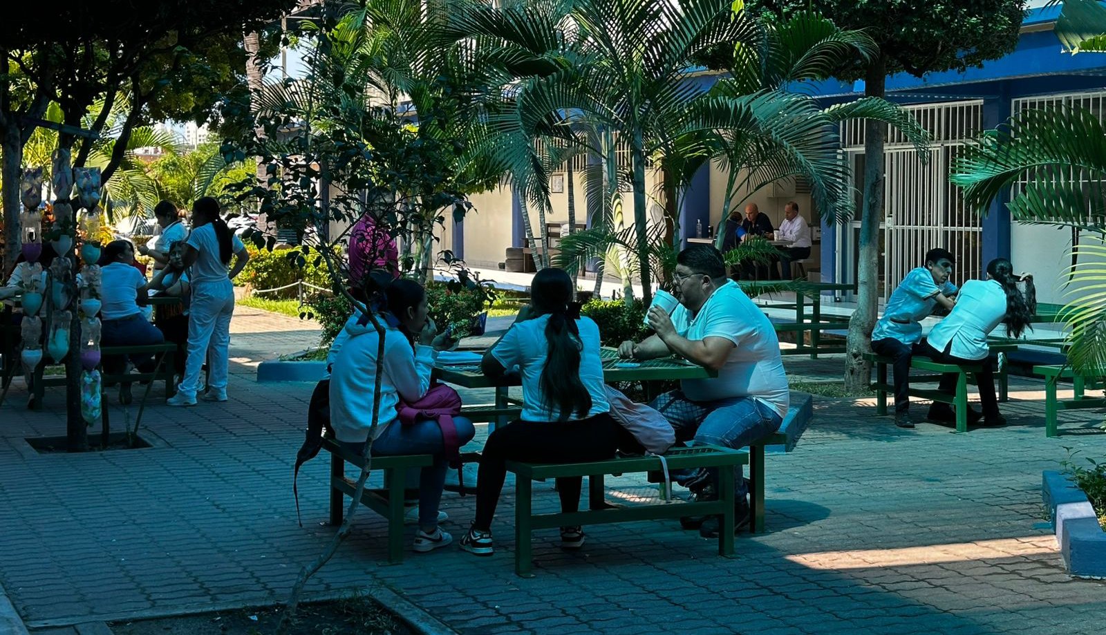 orden universitarios de la zona sur en consulta reingenieria de la uas no