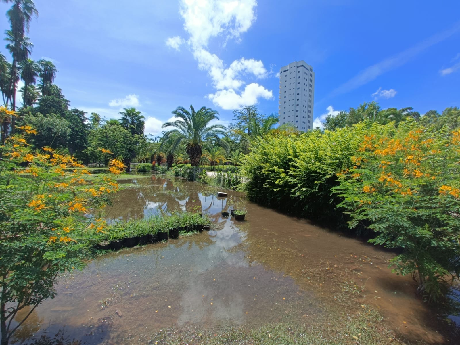 Jardín Botánico de Los Mochis cerrado por lluvias