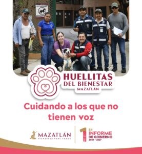 Perritos en adopción en Huellitas del Bienestar, en Mazatlán