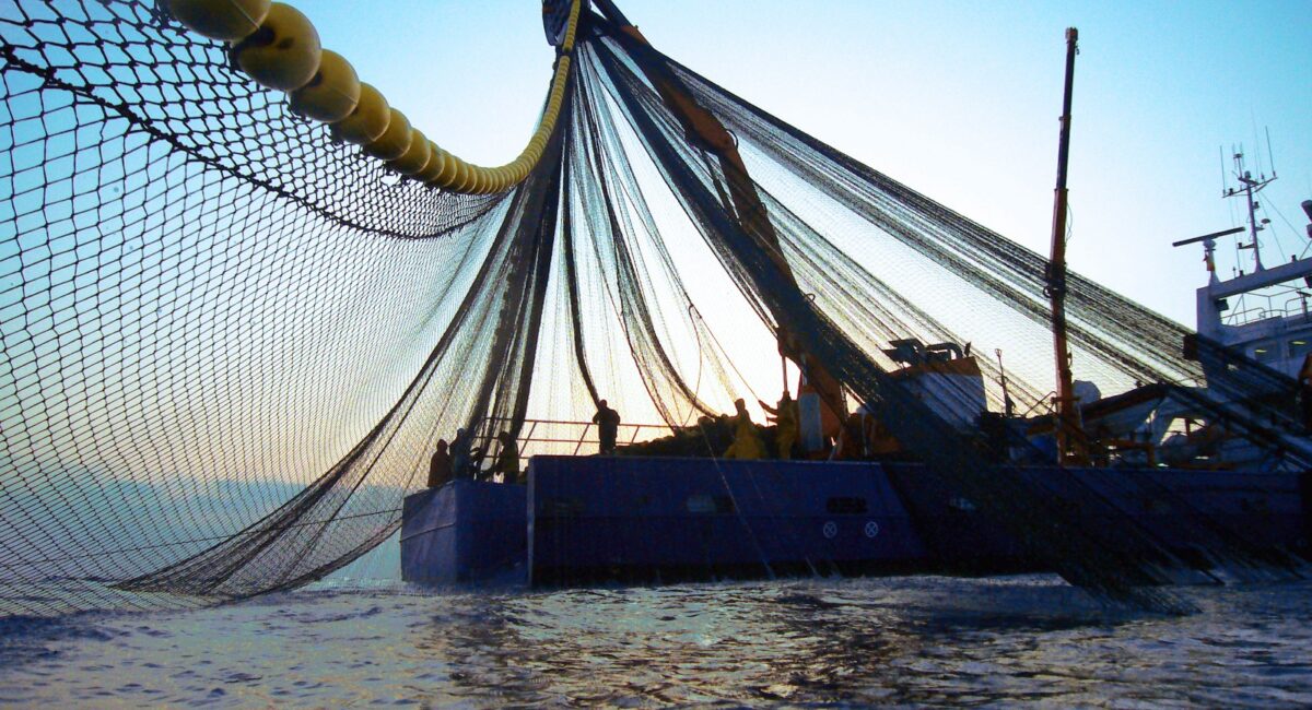 Pescadores de altamar de Topolobampo aprovechan tardanza de “Simón” para seguir con capturas de camarón