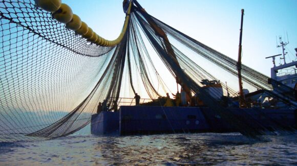 Pescadores de altamar de Topolobampo aprovechan tardanza de “Simón” para seguir con capturas de camarón