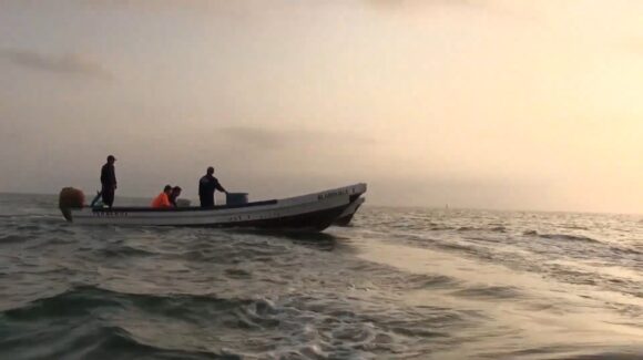 Inicia octubre con nuevos permisos de pesca y vedas; Conapesca anuncia medidas para proteger especies en todo México