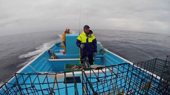 Capturas de huachinango ayudan a pescadores a salvar su temporada en Topolobampo, dejan mejor el camarón