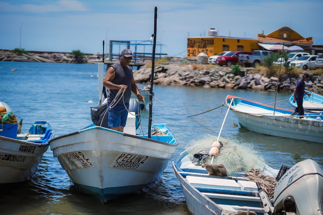 Destaca Gobierno de Sinaloa crecimiento económico en primer semestre de 2025
