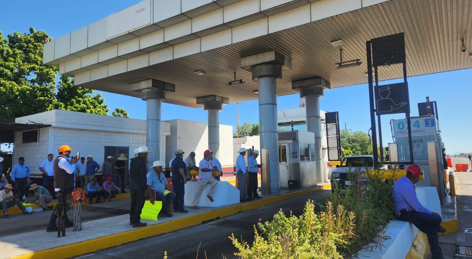 productores en caseta cuatro camino de guasave sinaloa