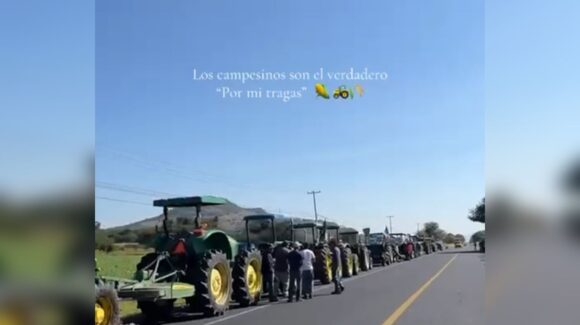 ‘El verdadero por mí tragas’: protesta de agricultores de Sinaloa y México por un precio justo del maíz llega a TikTok