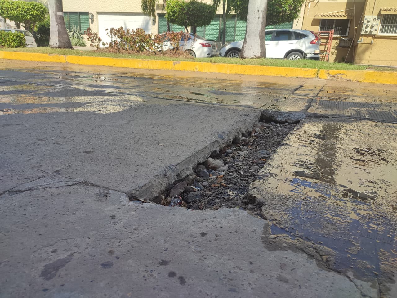 bache