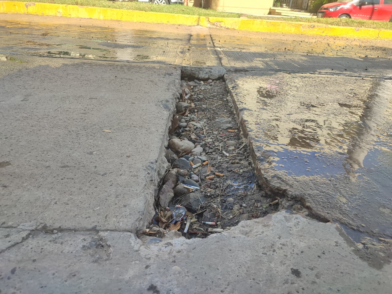 bache