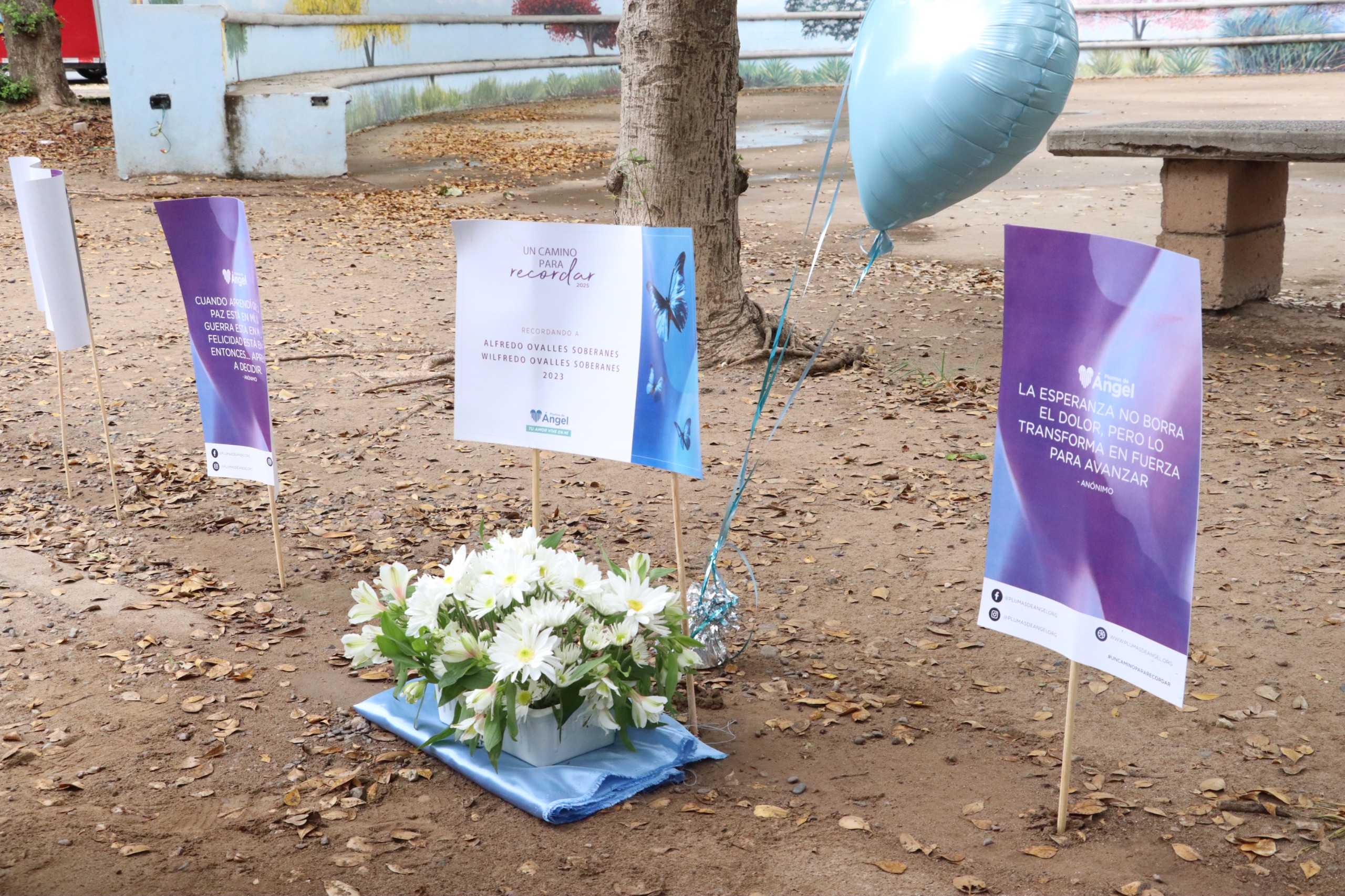 Misa por el Día Mundial de Concienciación sobre la Muerte Gestacional, Perinatal y Neonatal