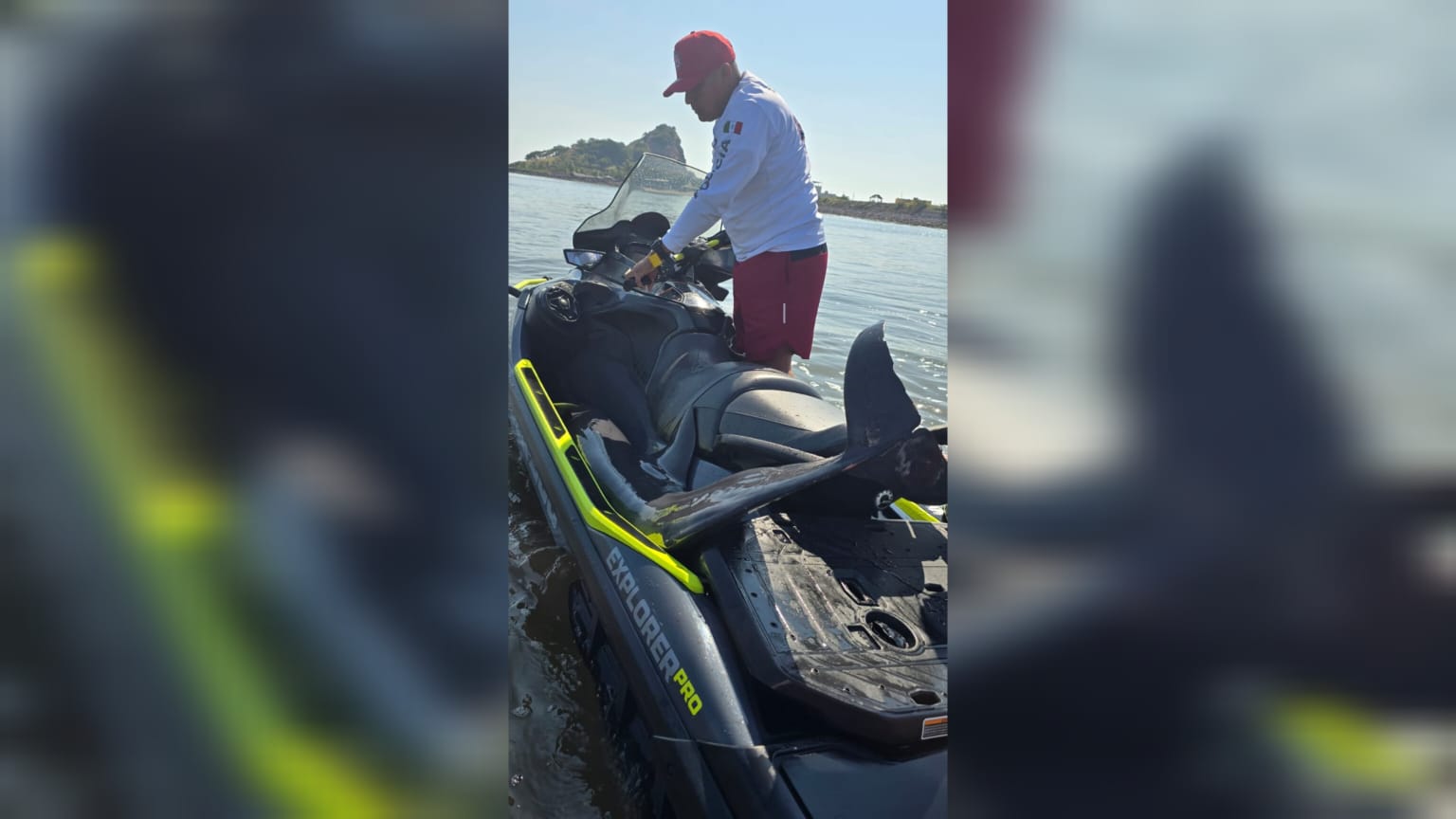 Rescatan a delfín en mar de Mazatlán