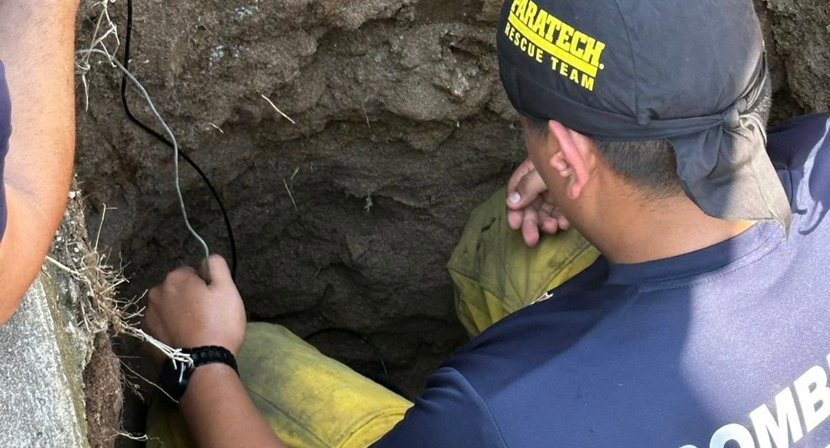 rescate de gatitos en mazatlan sinaloa bomberos