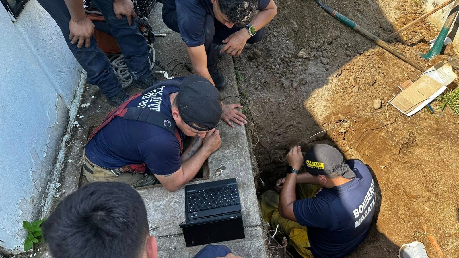 rescate de gatitos en mazatlan sinaloa