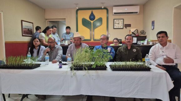 ¡Ya empieza la temporada agrícola! En Guasave, Sinaloa módulos de riego y Sanidad Vegetal coordinan permisos
