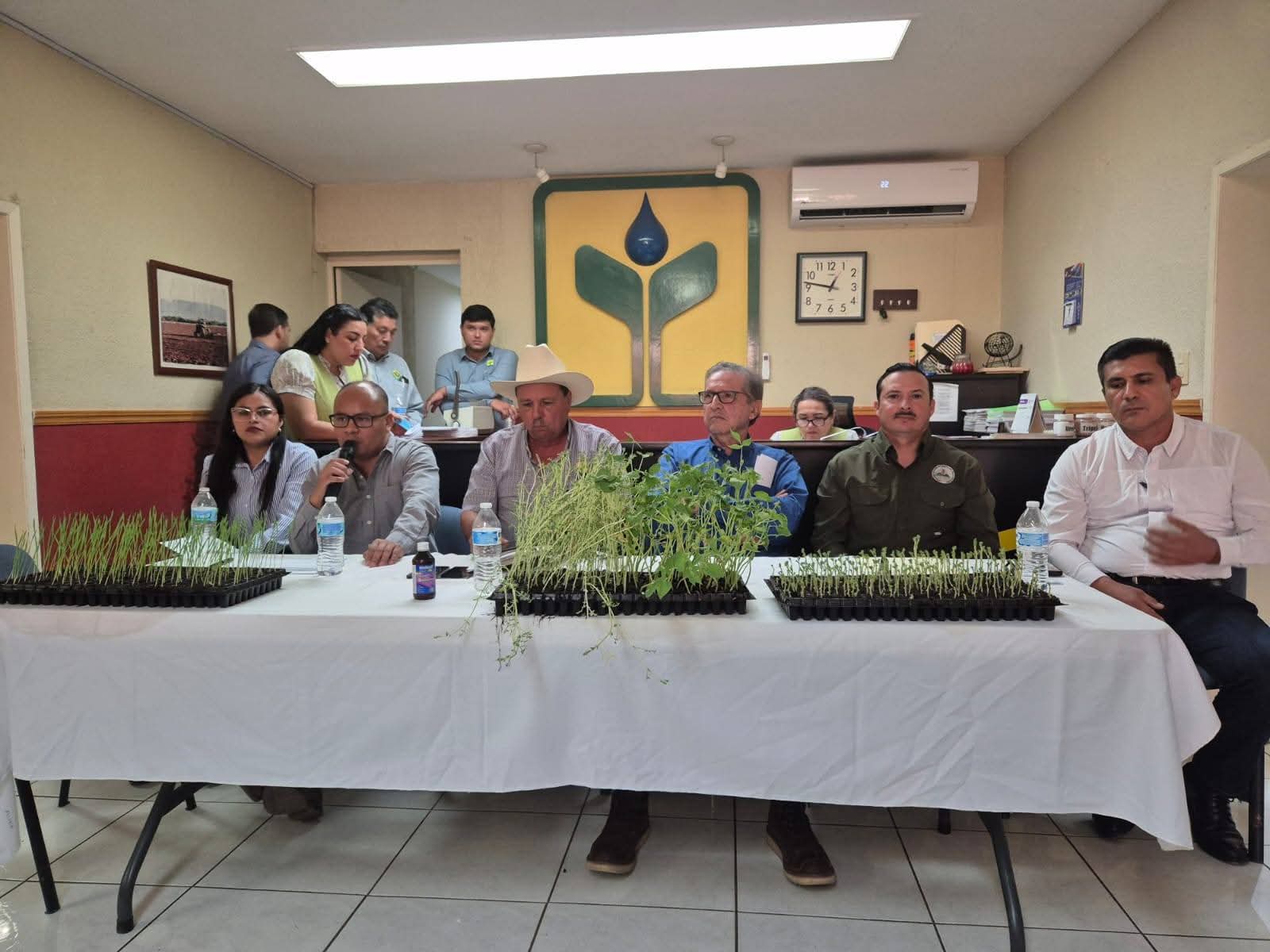 Sanidad Vegetal Guasave