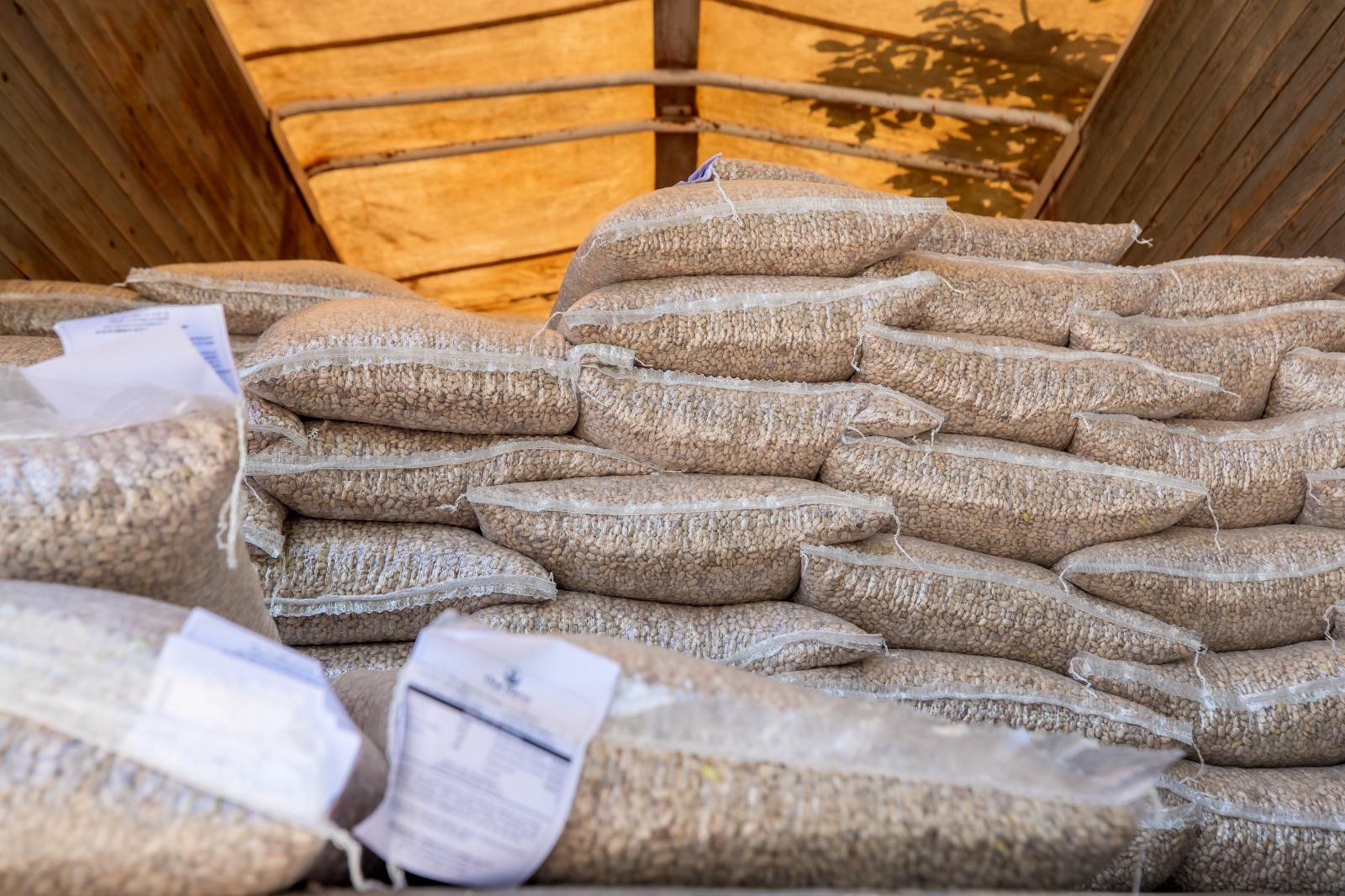 Apoyan a 42 productores temporaleros de Guasave, Sinaloa
