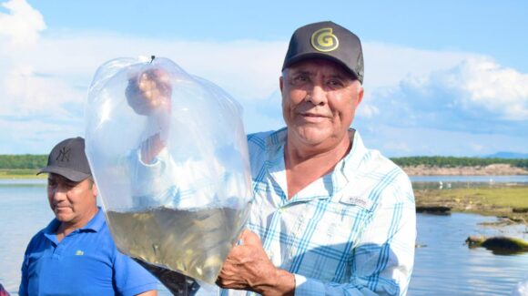 ¡El Fuerte, Sinaloa es pesca! Encabeza Gildardo Leyva repoblamiento con 700 mil alevines en la presa Josefa Ortiz de Domínguez