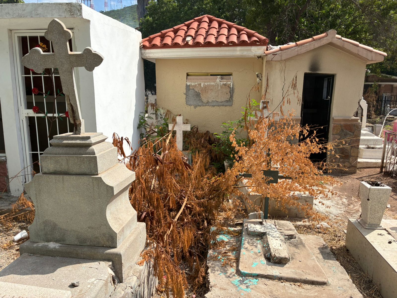 Suciedad en el panteón municipal de Los Mochis, Sinaloa