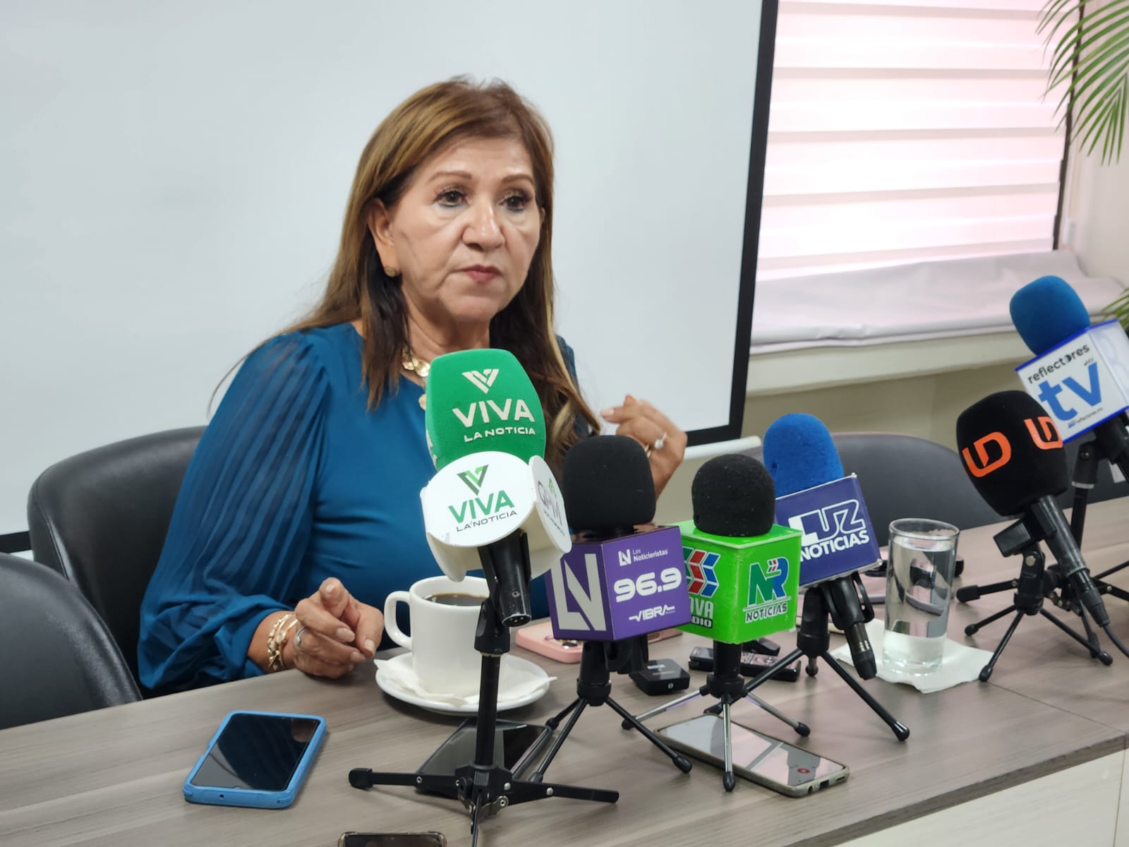 María Teresa Guerra Ochoa