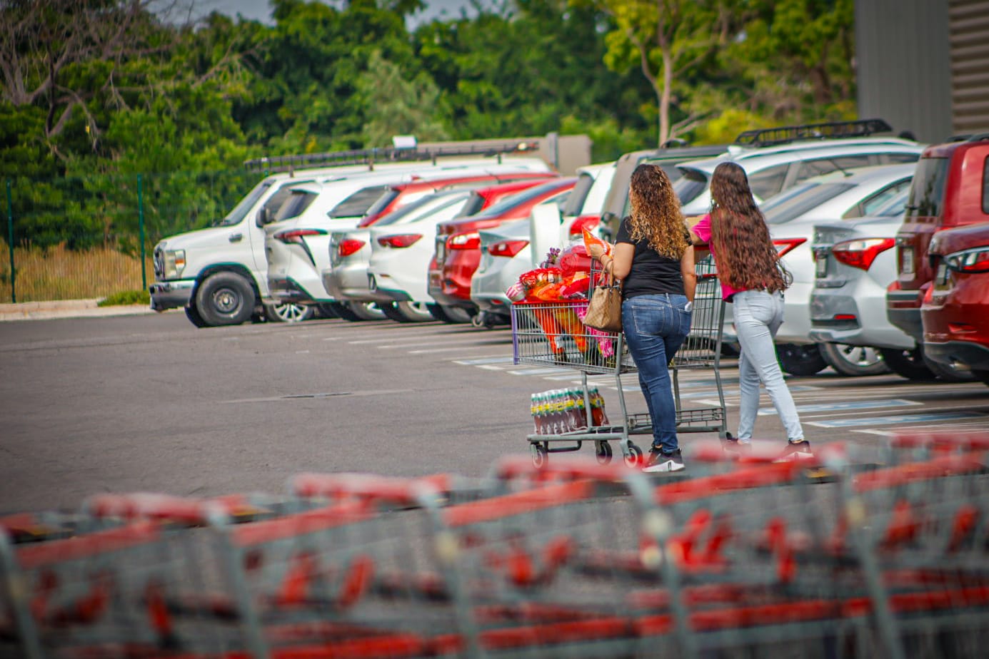 venta de flores en costco culiacan sinaloa