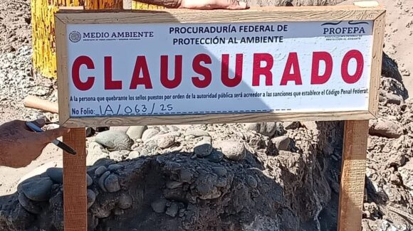 Profepa clausura “La Ensenadita” en Guasave, Sinaloa, por daño ambiental en zona costera