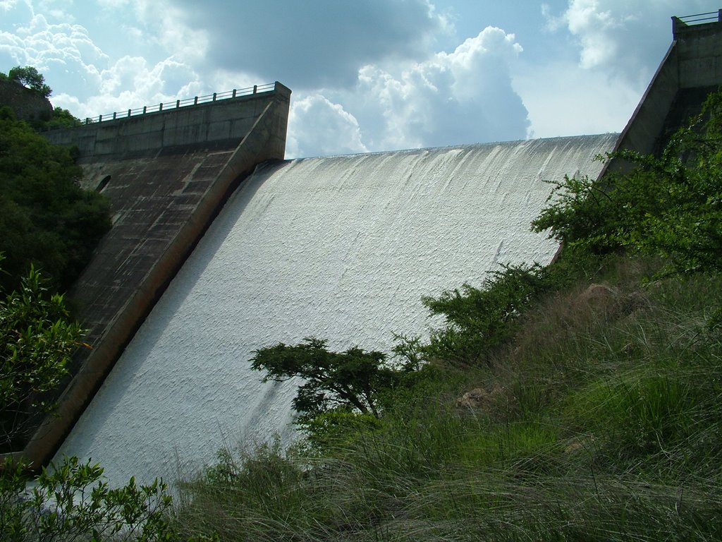 Presa José López Portillo