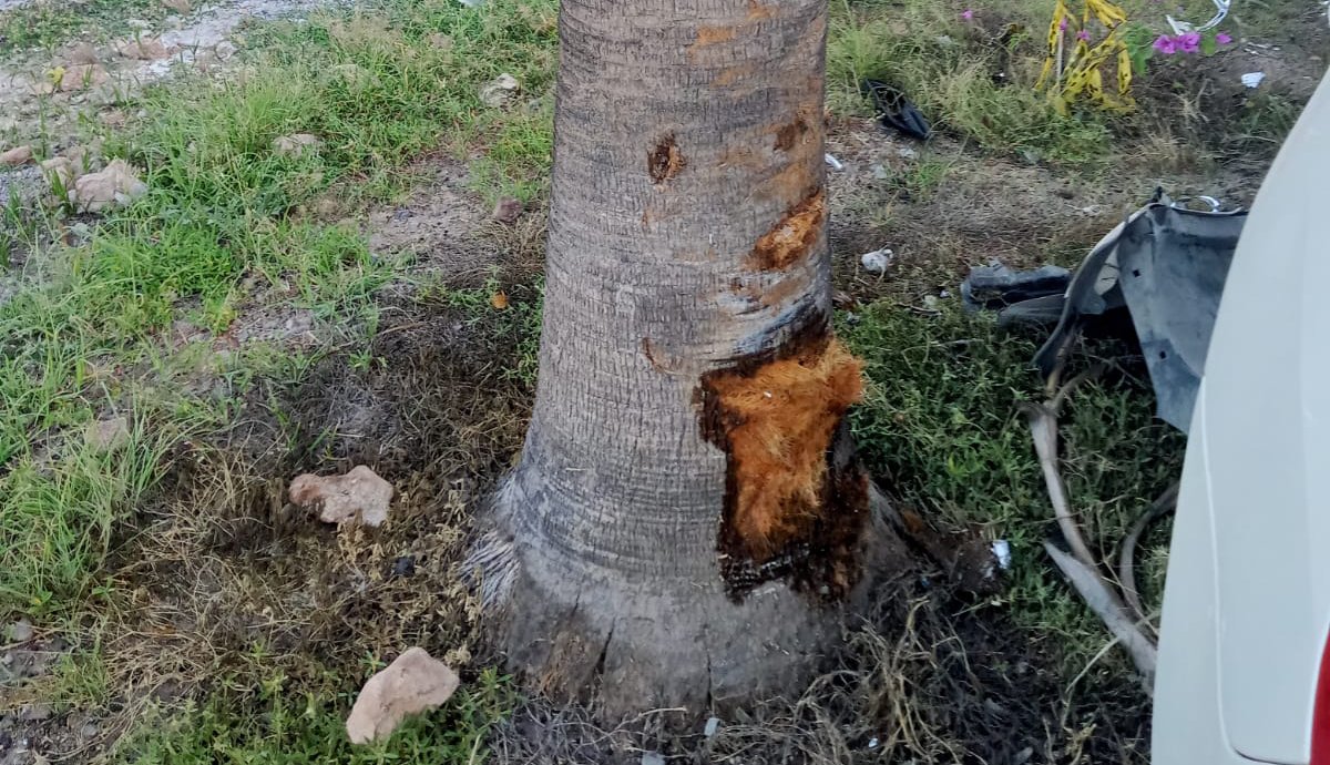 accidente en jardines del country en los mochis palma
