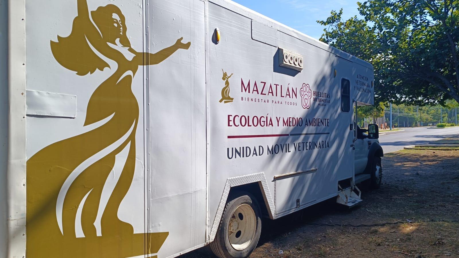 adopcion de perritos en mazatlan