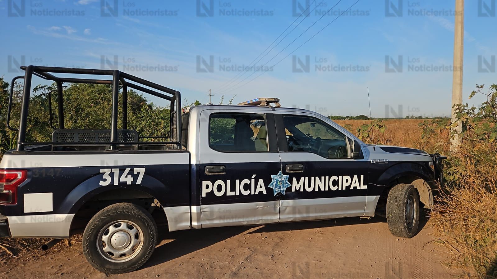 aparece mujer asesinada en navolato