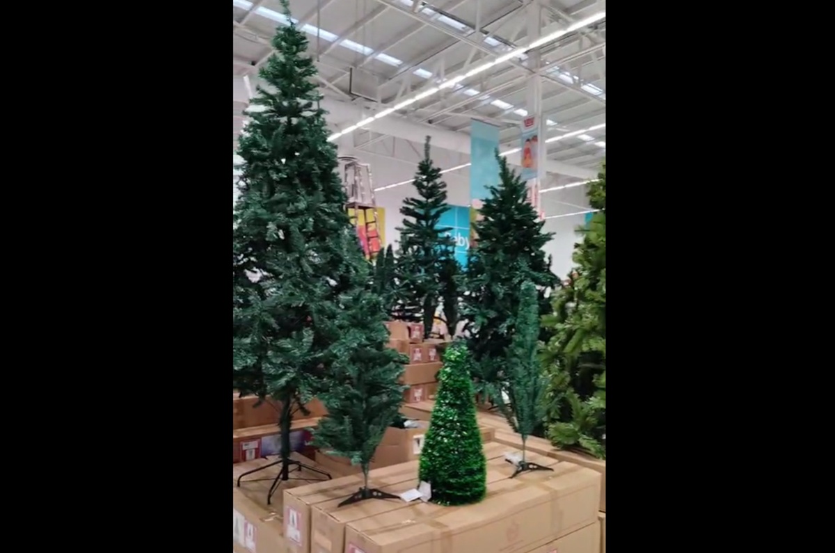 Árboles de Navidad en Casa Ley