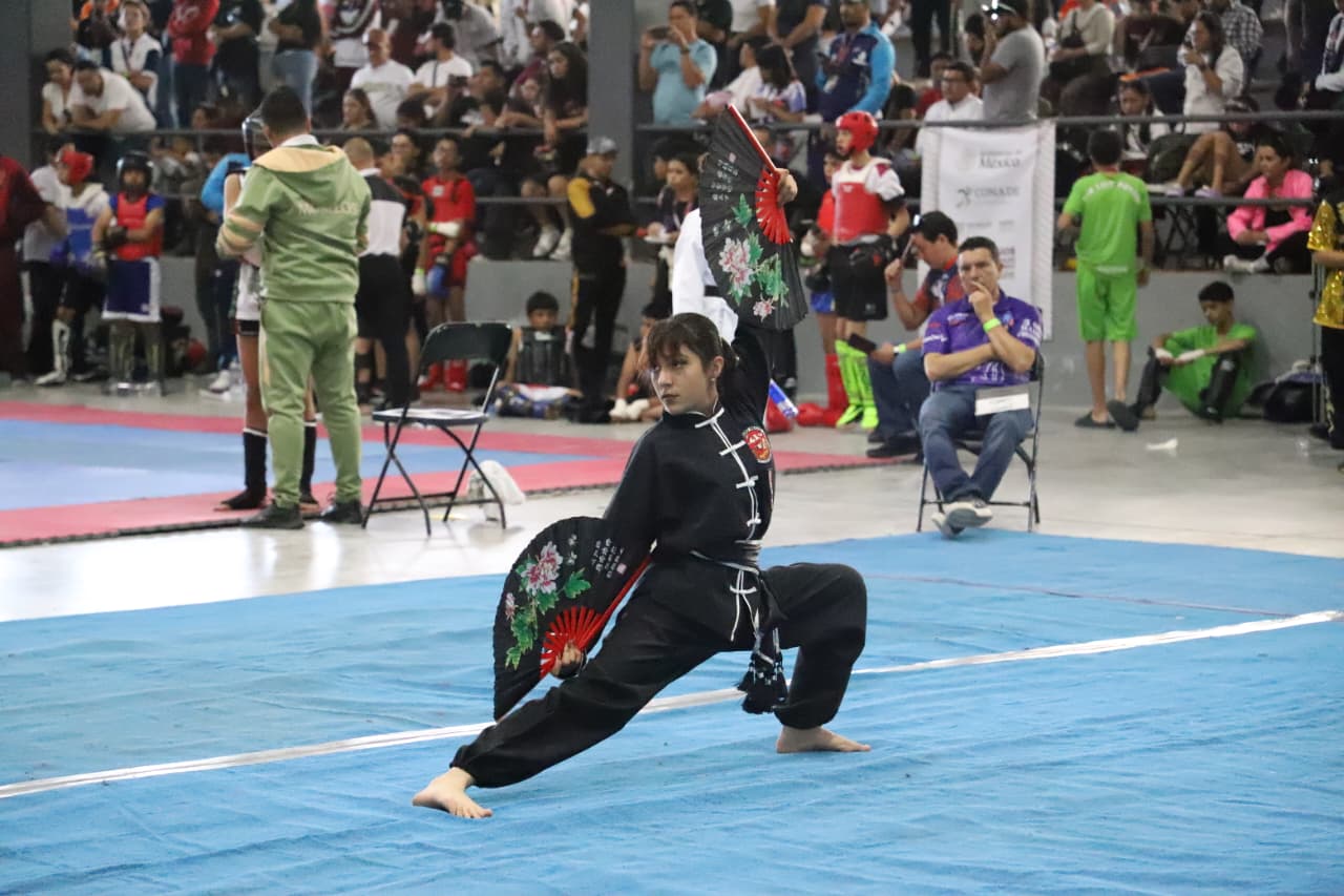Artes marciales