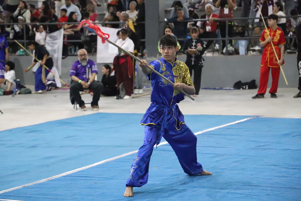 Artes marciales