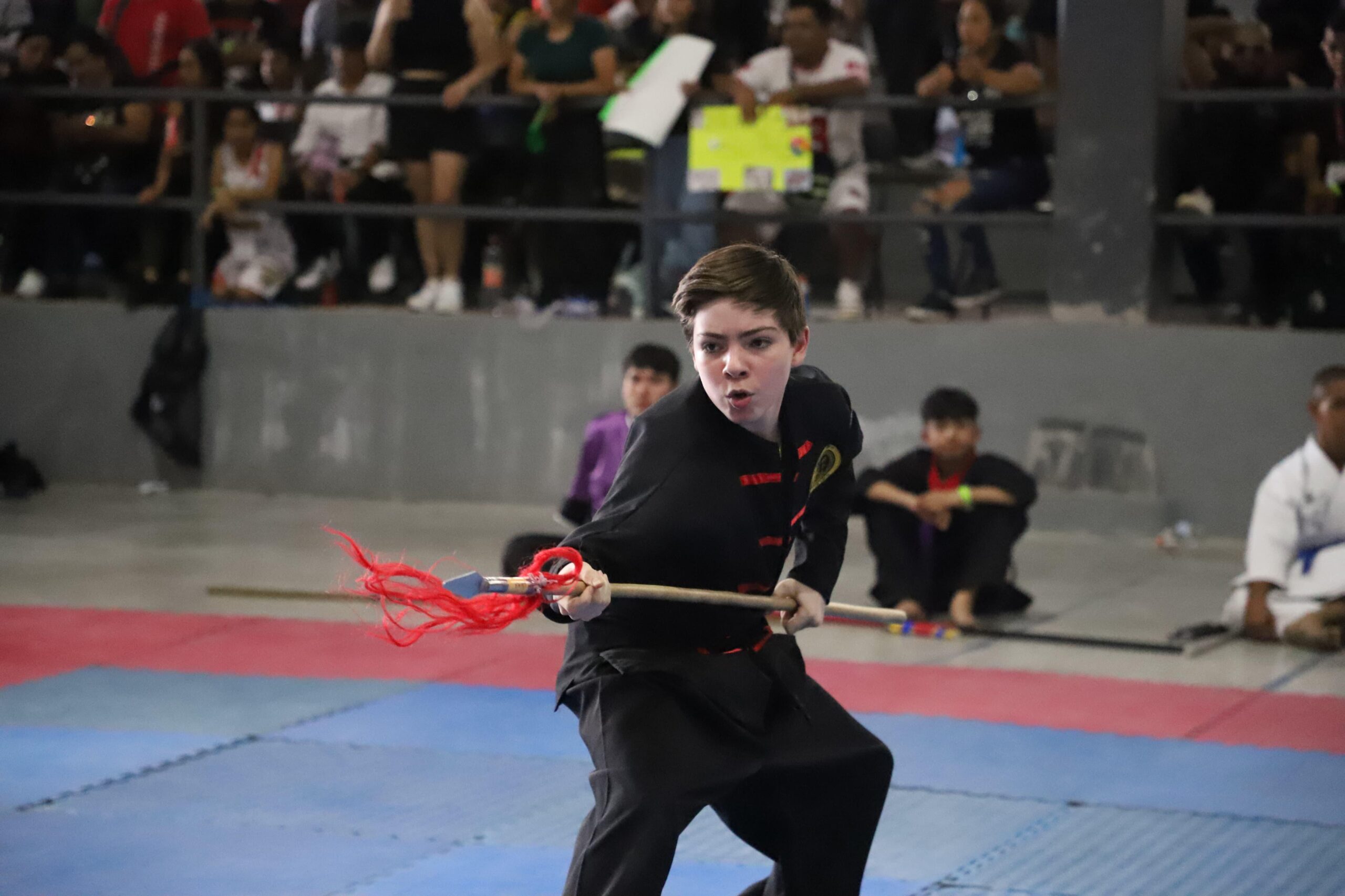 Artes marciales