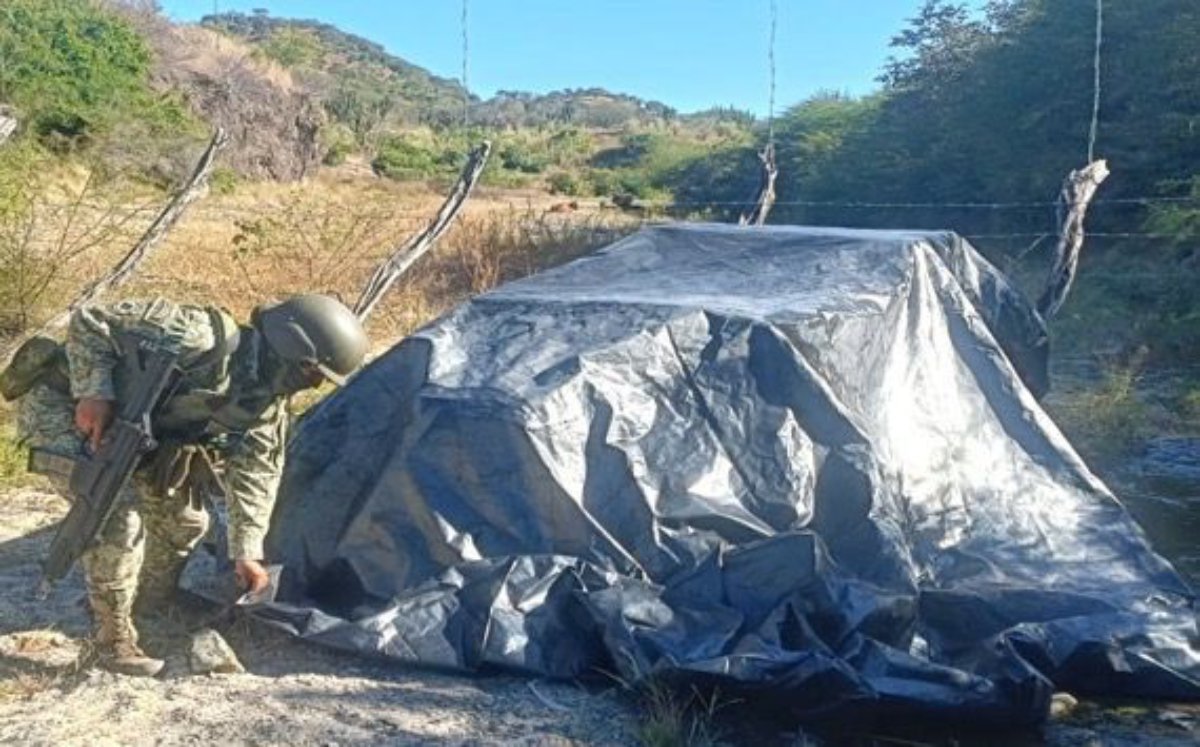 aseguramiento mariguana quimicos droga badiraguato