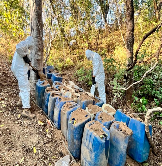 aseguran arma y explosivo en badiraguato y destruyen laboratorio