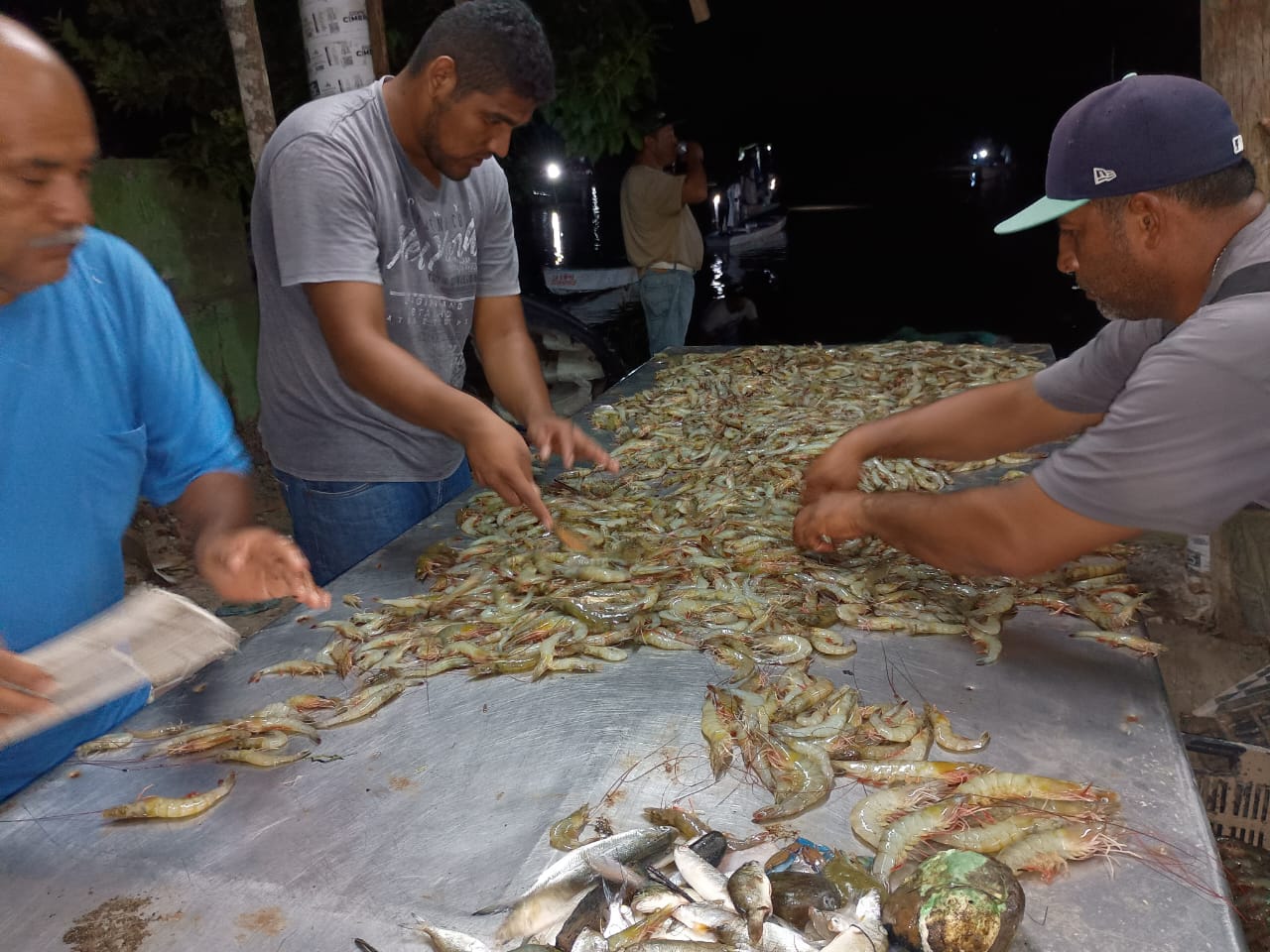 Autoveda camarón en Mazatlán