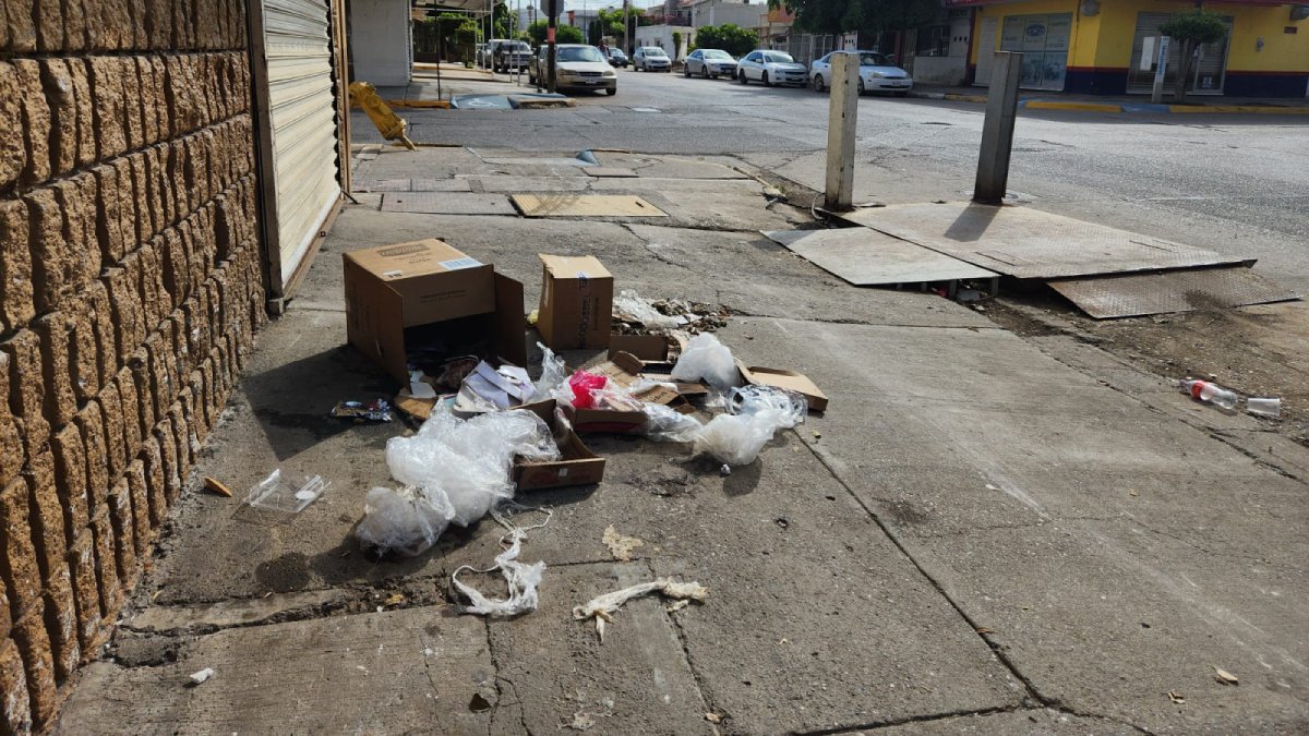 basura en guasave sinaloa