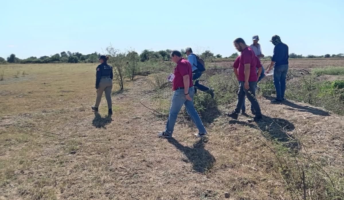 Buscan a cocodrilo visto en carretera de Guasave