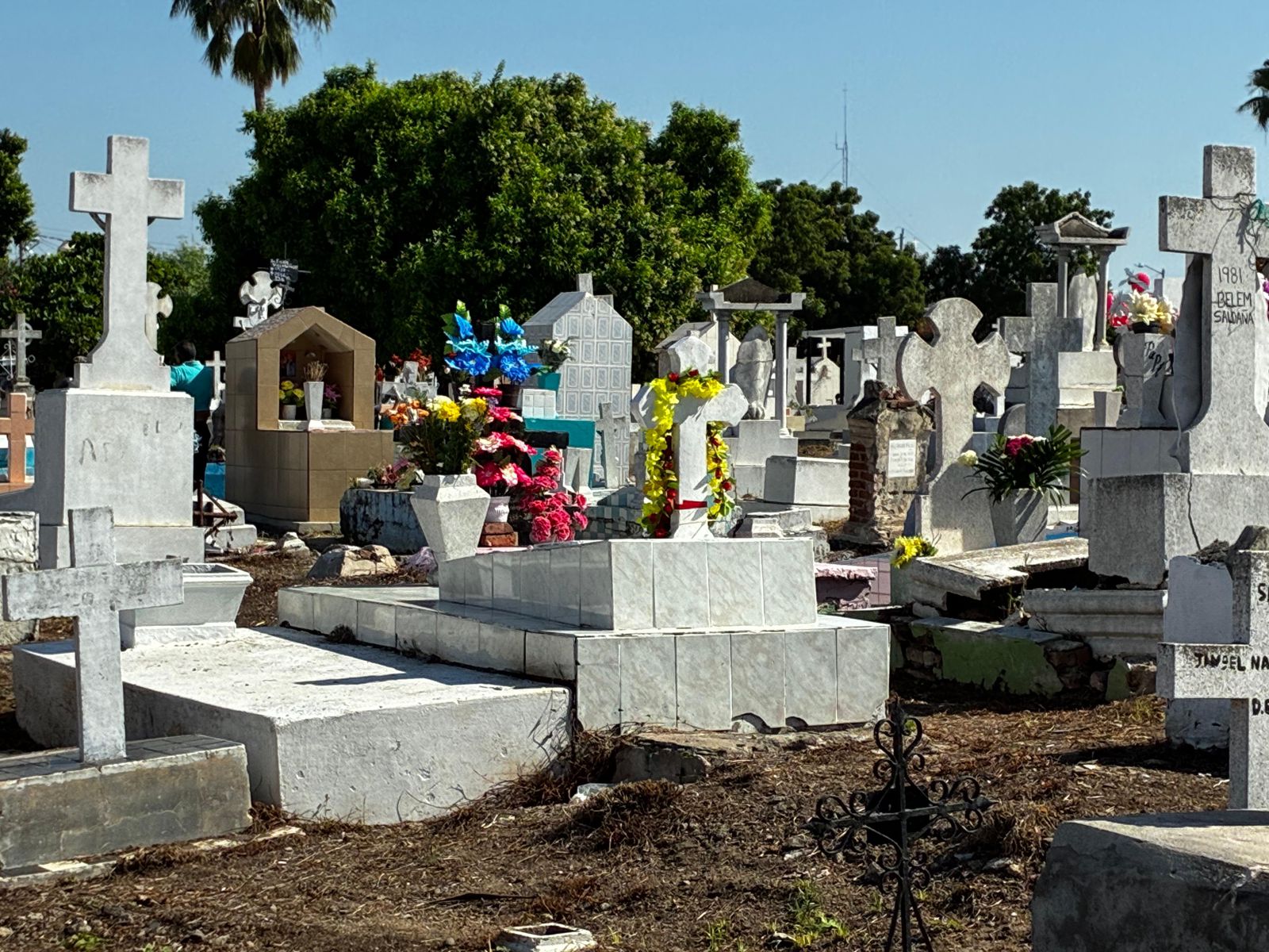 callejoneadas y dia de muertos en mazatlan