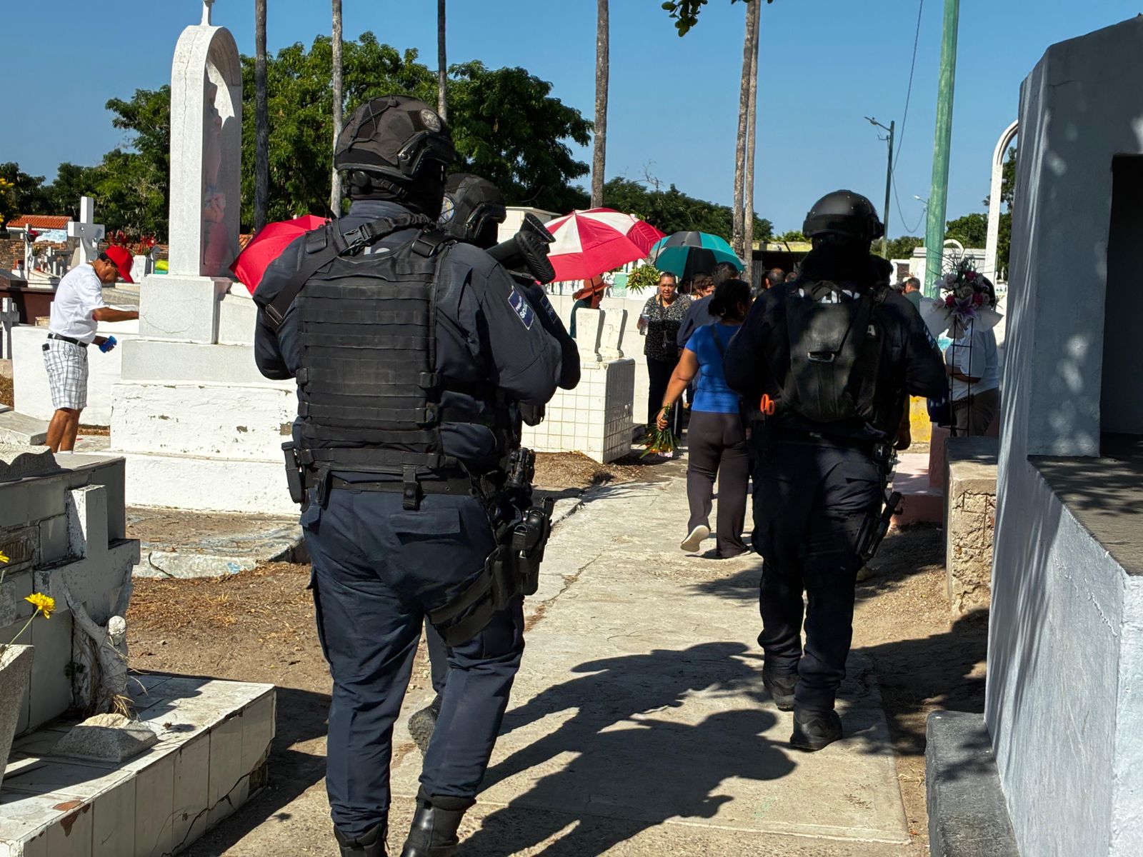 callejoneadas y dia de muertos en mazatlan