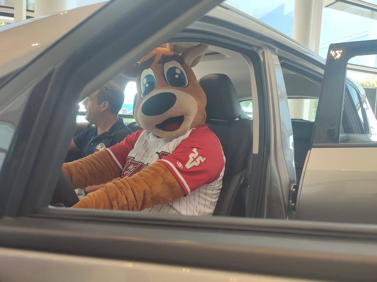 Socios Club Venados