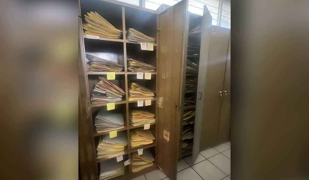 Colectas botánicas de la Facultad de Agronomía de la UAS