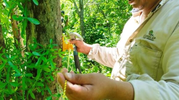 Lanza Conselva campaña ‘Tu donativo se transforma en agua’ rumbo al Día para Dar 2025 en el sur de Sinaloa